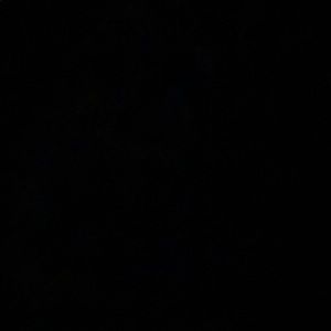 Meet your Posher, Jami